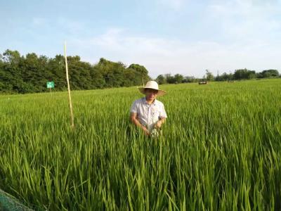 与石首的一场“双向奔赴”：551名人才的共同选择