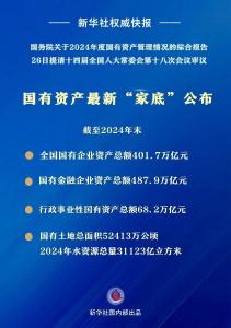 国有资产最新“家底”公布