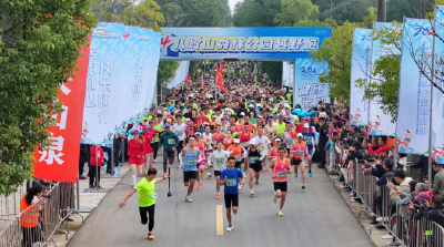 全国先进！荆州区八岭山镇 