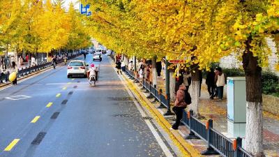 “荆”彩秋天霸屏！征集荆州秋色全民推荐官！随手拍就能拿奖金！