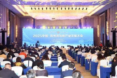 “剧”焦楚都 论道三国 中国·荆州微短剧产业发展大会召开