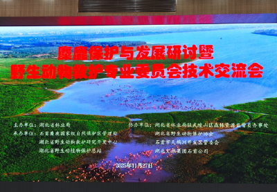 四项成果发布 麋鹿保护与发展研讨会召开