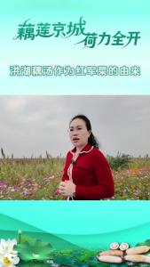 你知道洪湖藕汤作为红军菜的由来吗？