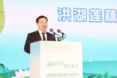 洪湖莲藕品牌价值发布暨品牌发展大会在京举行