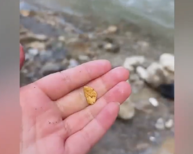 甘肃一河道多人凌晨淘金，法律允许吗？