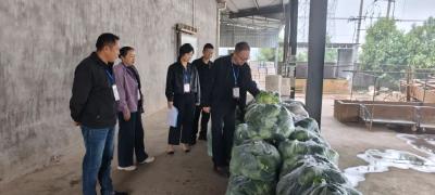 代表行动 | 荆州区李埠镇人大：代表一线督安全 护航“舌尖上的健康”