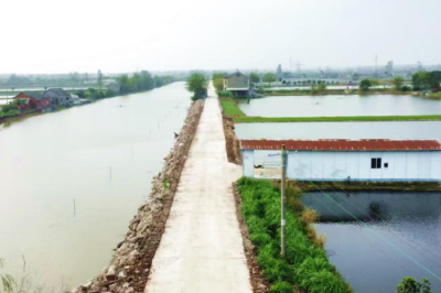 松滋市八宝镇：捐资修路暖民心 同心铺就幸福路