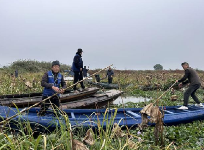 多部门联动织密洪湖生态防护网    “秋季护渔”绘就水清鱼跃好风光