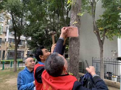 荆州区河套社区：“认养一棵树”繁花行动