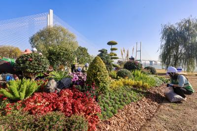 媲美！比美！荆州市园林绿化技能“大比武” 