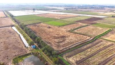 荆州江陵：离田有法 利用有门