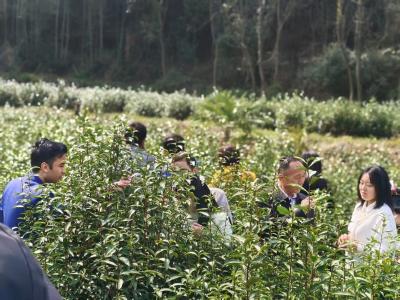 山水田园奏响振兴之音