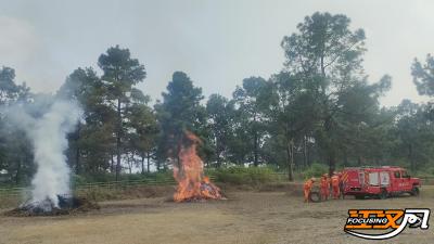 荆州区举行森林灭火演练 筑牢秋冬防火屏障