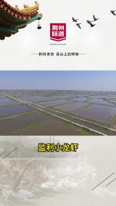 夏天，怎么可能不吃小龙虾呢！ 
