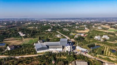 松滋：2800亩！这波“甜蜜暴击”请查收