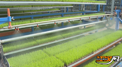 石首市团山寺镇：“一器三用” 智能育秧基地巧生金