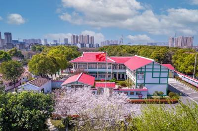 好支部好支书 | 胜利村党总支：党建领航蹚出共同富裕路