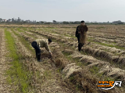 江陵：下沉干部赋能“秸秆变金、渠水焕活、政策暖心”