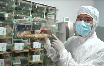 中国空间站迎来“新访客”！4只小鼠开启太空之旅