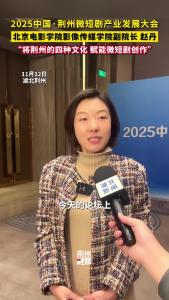北京电影学院影像传媒学院副院长赵丹：“将荆州的四种文化 赋能微短剧创作”