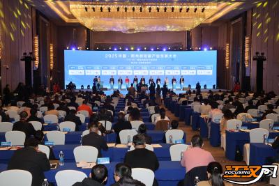 一城楚韵启微剧 ——2025中国·荆州微短剧产业发展大会侧记