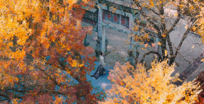 银杏之约 秋摄襄阳： 11月15日 一起出发吧~