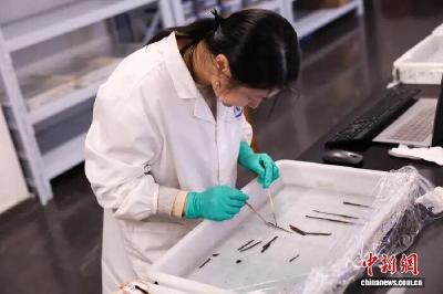 海昏侯墓首次发现秦汉时期全本《诗经》