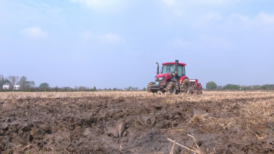 从一整天到三个半小时，江陵机械化播种跑出“加速度”