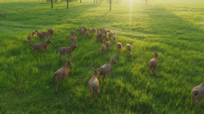 40年，64→4500！