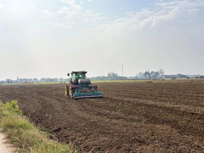 荆州松滋：科技赋能，36.5万亩冬小麦播种加速