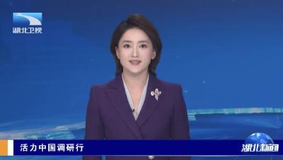 媒体关注 | 活力中国调研行·荆州百亿产业集群加速成型