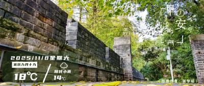 早安·荆州丨定了！这些时段免费