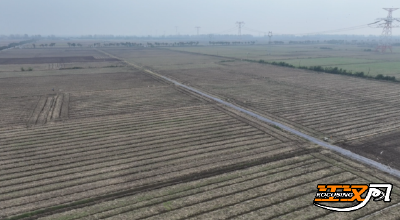 荆州市江陵县：良田良策育丰景