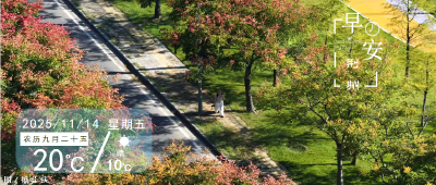 早安·荆州丨即日起至12月，免费！