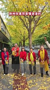 荆州：落叶缓扫留住秋日浪漫