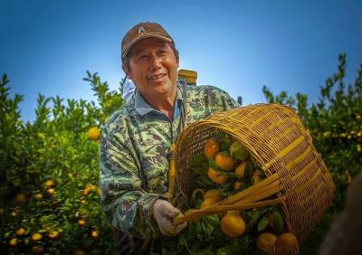 公安县：627万建起“聚宝盆”！这个产业强村强在哪？