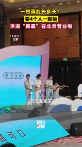 一根藕能长多长？ 要4个人一起抬！洪湖“藕霸”在北京营业啦