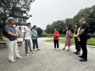 代表风采 | 杜芝凤：一间工作室 一份为民情