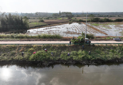 石首市久合垸乡：干群同心治环境 绘就乡村宜居新画卷
