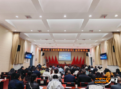 沙市区召开《政务数据共享条例》宣贯培训会 推进政务数据共享工作标准化规范化