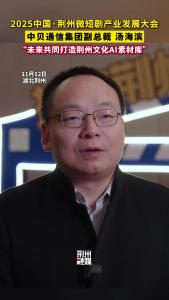 中贝通信集团副总裁汤海滨：“未来共同打造荆州文化AI素材库！”