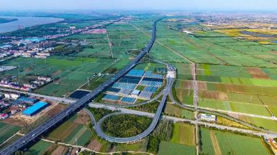 总书记惦记的这些田，丰收了！