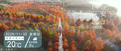 早安·荆州 | 最高减200！这些消费券可以用了！