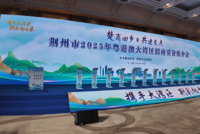 湾区凤还巢，让故乡成为逐梦的主场