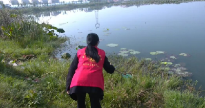 清出“新天地” 连起“心桥梁” ——江陵青春力量赋能园清洁家行动