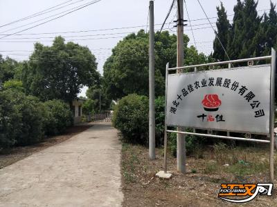 从农田到舌尖 十品佳用“一袋好零食”撑起农业产业化龙头