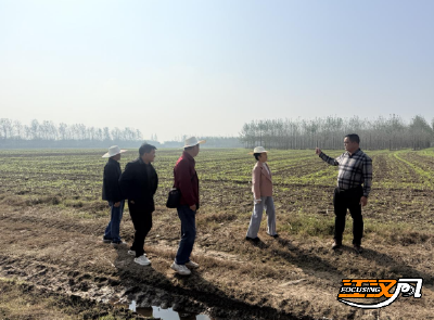 荆州石首：农技服务入田间 科学田管促丰收