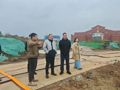 姚锡发带队调研文旅重大项目建设情况