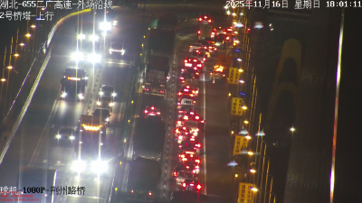 日均3万辆，荆州长江大桥车流量剧增！最新提醒→