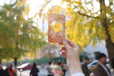 快来荆州区人民路打卡！最美的时候！